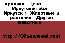 кролики › Цена ­ 1 000 - Иркутская обл., Иркутск г. Животные и растения » Другие животные   